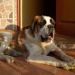 LUCHO EN LA PUERTA DE CASA AL SOLECITO.